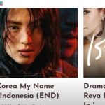 Download Drama Korea Sub Indo
