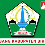 Lambang Kabupaten Bireuen PNG