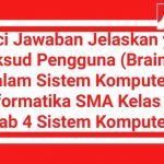 Kunci Jawaban Jelaskan yang Dimaksud Pengguna (Brainware) dalam Sistem Komputer? Informatika SMA Kelas 10 Bab 4 Sistem Komputer Kurikulum Merdeka